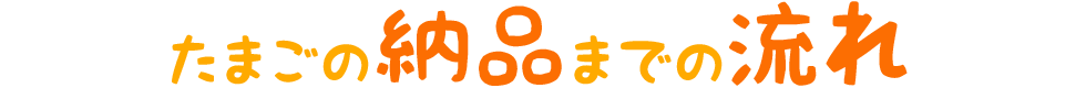 たまごの納品までの流れ